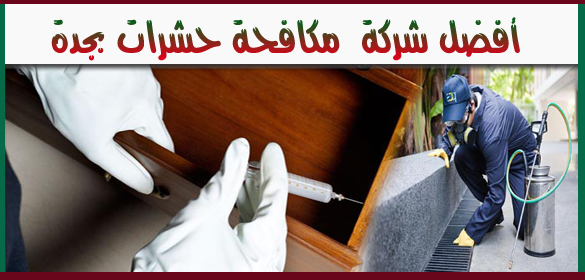 افضل شركة مكافحة حشرات بجدة
